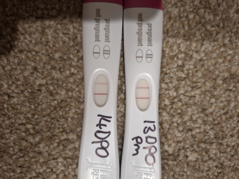FRER lines progressing nicely but lighter today?