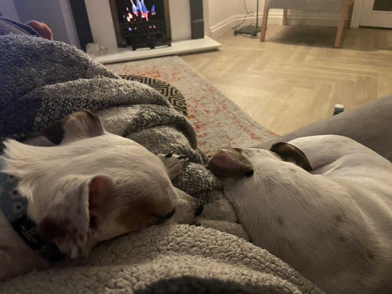 The Year Round Nigel Slater Discussion thread