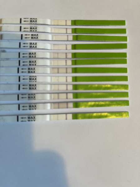 What should ovulation tests look like?