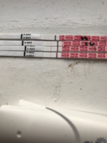 What is going on with these tests? Help please!