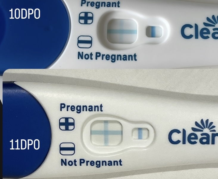 What did your 10/11 dpo tests look like?