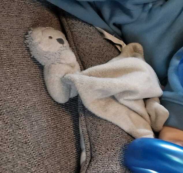 Lost soft toy Trafford Centre 8/2/25