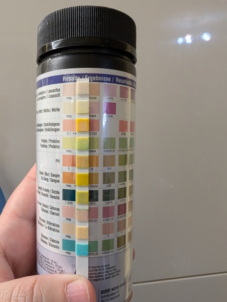 UTI in toddler