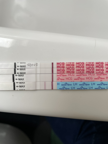 Ovulation tests and pregnancy