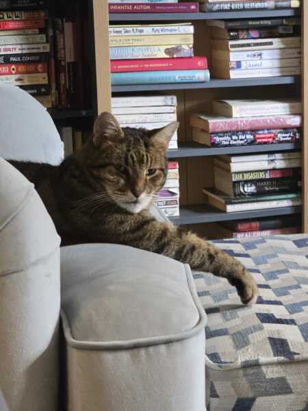 Lap dances, strippers and punch-ups - the Excellent Cats arrange a stag party