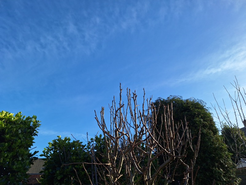 The Year Round Nigel Slater Discussion thread