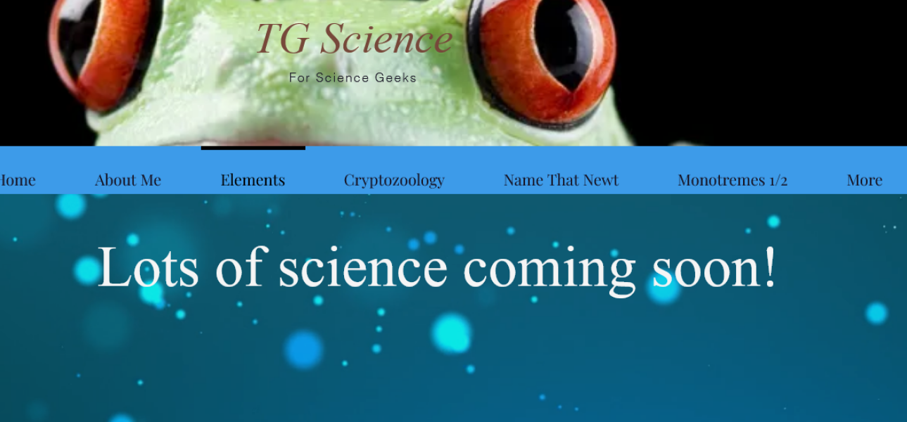 NHS Fife tries to silence nurse - Sandie Peggie vs NHS Fife Health Board and Dr Beth Upton - thread #13
