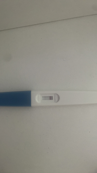 Tests
