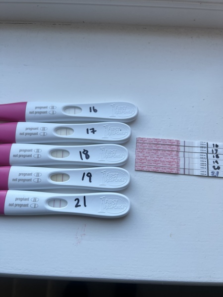 Line progression help please!