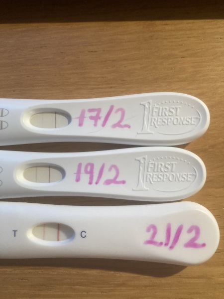 February/March FET