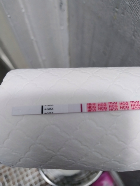 Positive pregnancy test?