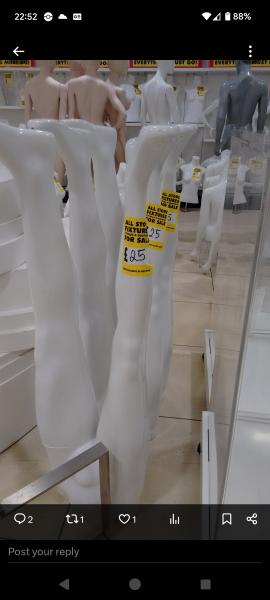 Thread 18 Starmer: All sides of the House agree apart from the Trump bootlickers