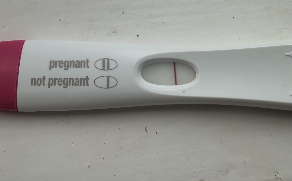 February 2025 TTC Support Group Part 2!