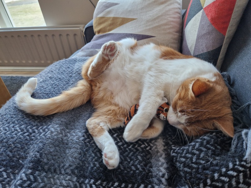 Lap dances, strippers and punch-ups - the Excellent Cats arrange a stag party