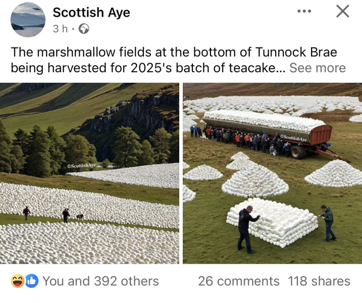 NHS Fife tries to silence nurse - Sandie Peggie vs NHS Fife Health Board and Dr Beth Upton - thread #20