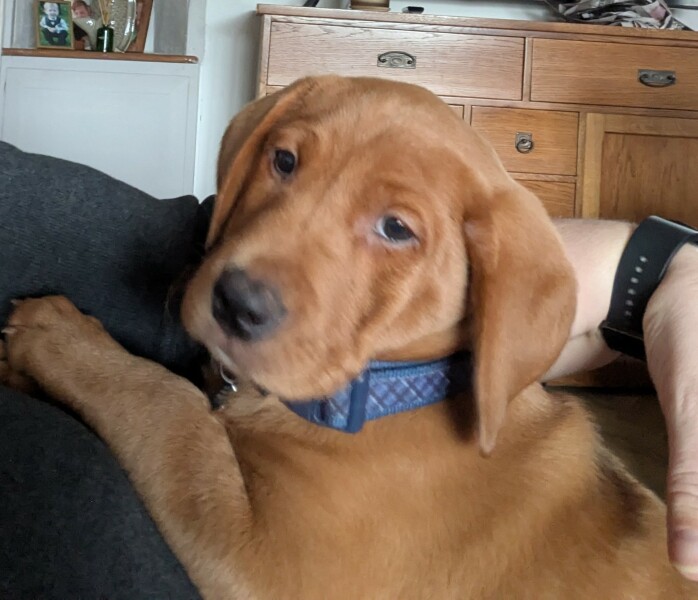 Thread 18 Starmer: All sides of the House agree apart from the Trump bootlickers