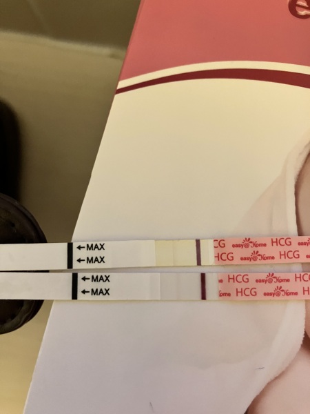 Letrazole advice!