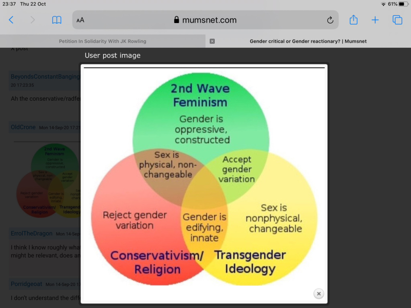 Anyone else think Trump will ultimately do more damage to the gender critical cause?