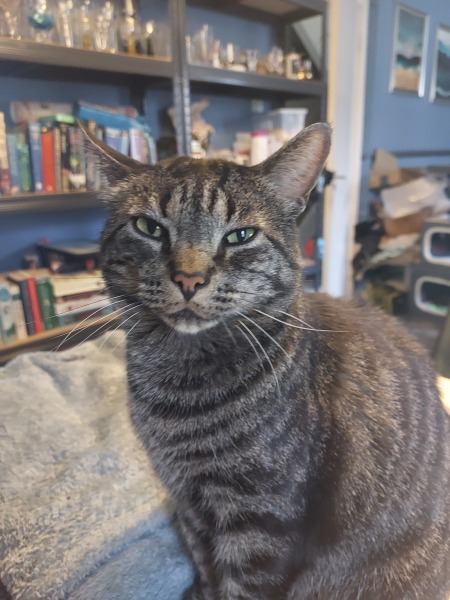 Thread 18 Starmer: All sides of the House agree apart from the Trump bootlickers