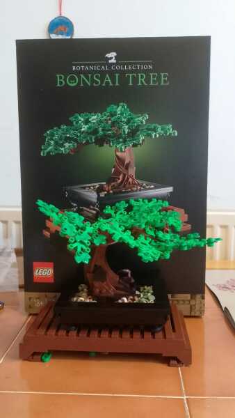 Don't enjoy Lego sets