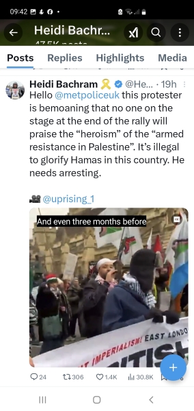 Do people fully support Palestine?