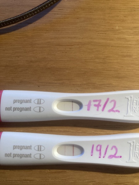 February/March FET