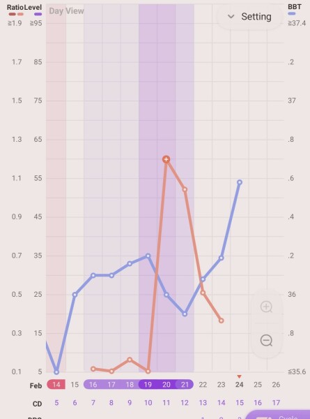 Ovulation date - BBT and OPK