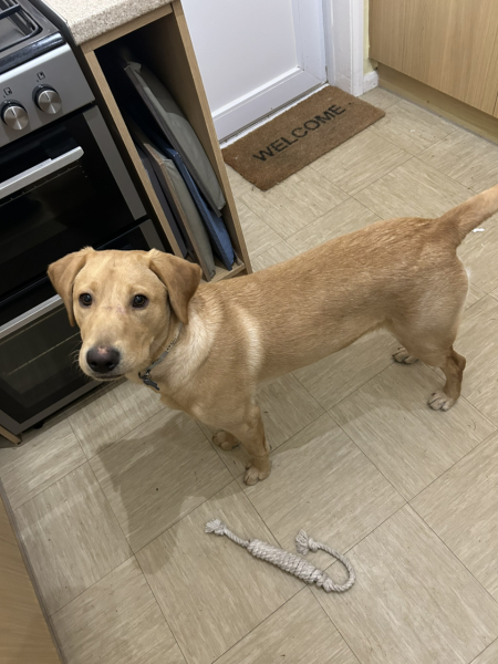 Ho ho ho...here we go round again! Countdown to Christmas 2025, thread 1