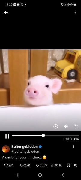 The Bluestocking: where conversation should supersede cards