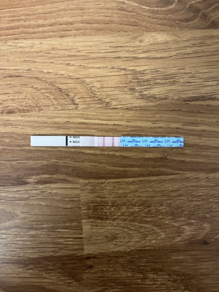 11dpo