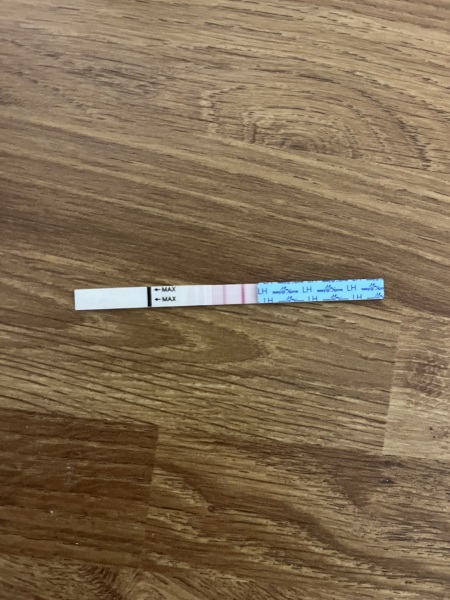 11dpo