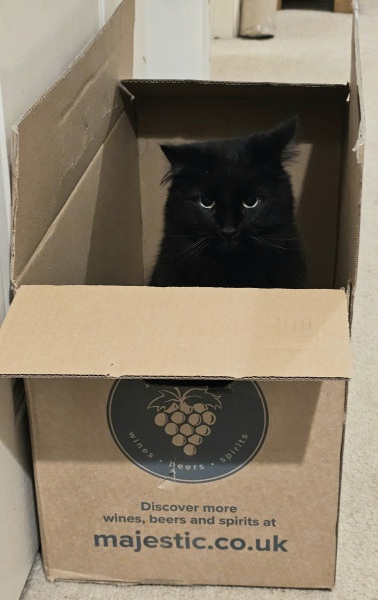 Thread 18 Starmer: All sides of the House agree apart from the Trump bootlickers