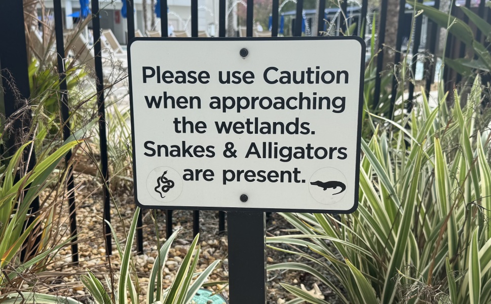 Come and tell us your dull and unexciting news 33: Calmly through the day