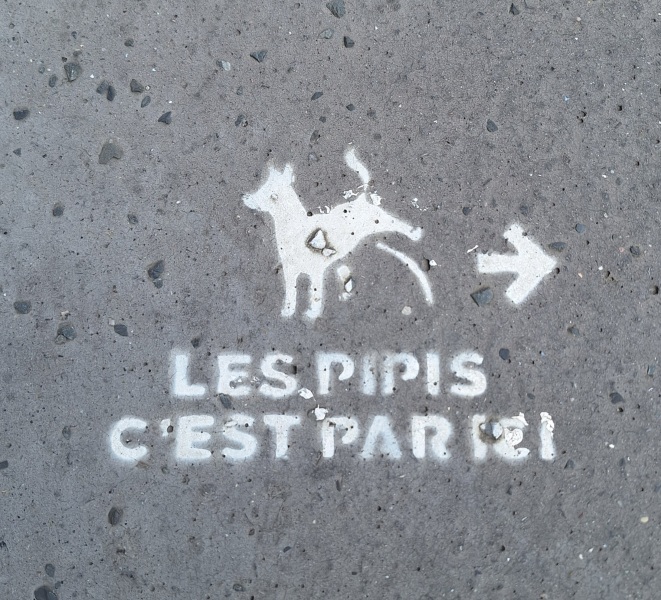Taking dog to France