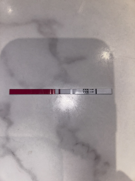 11dpo