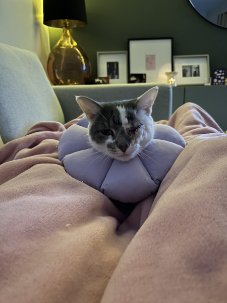 How to keep a plastic cone on?!