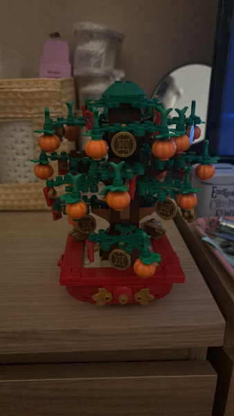 To show me your Lego collection?