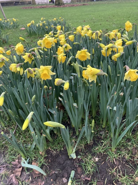 Running goals, motivation and chat 2025