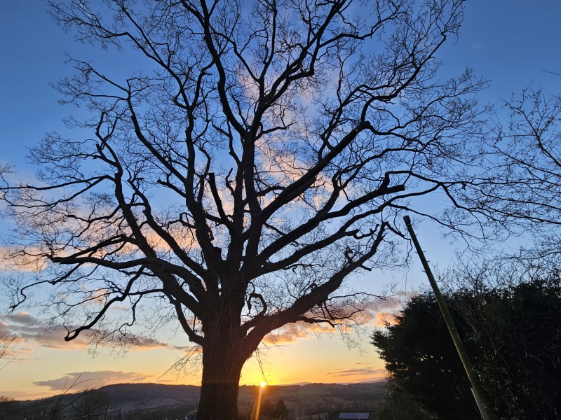 The Year Round Nigel Slater Discussion thread