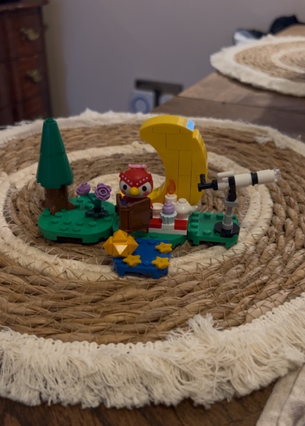 To show me your Lego collection?