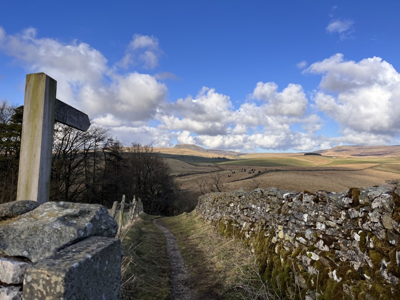 The Great Recovery part 4