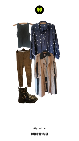 No/low buy 2025 shop from wardrobe