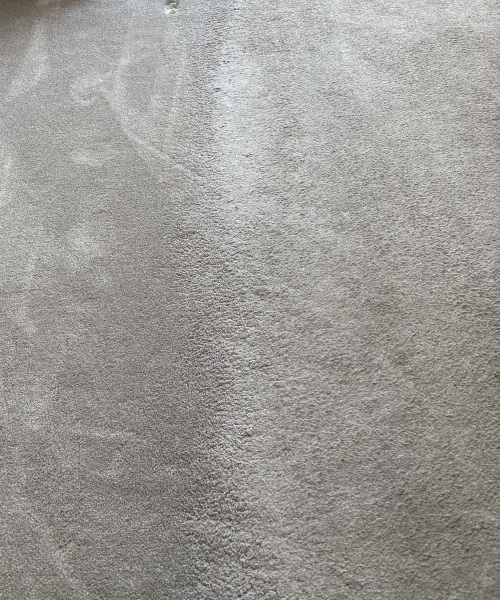 Best type of carpet