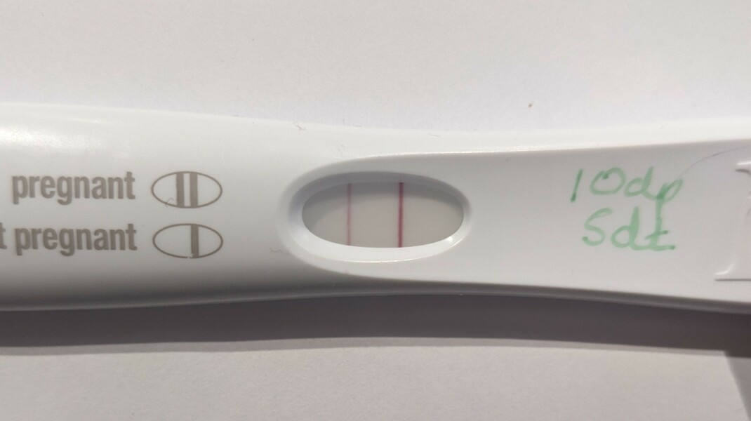 February/March FET