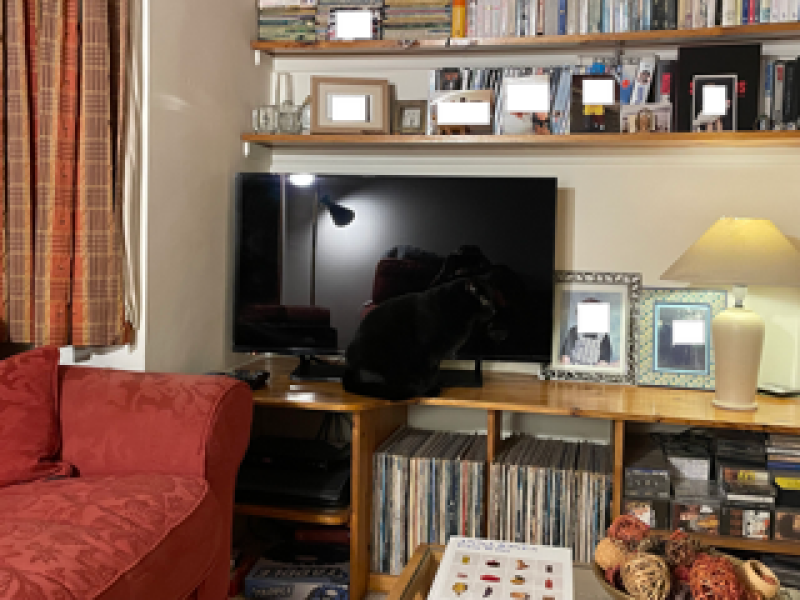 Thread 18 Starmer: All sides of the House agree apart from the Trump bootlickers