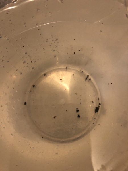 Black gunk inside Oral-B electric toothbrush head?