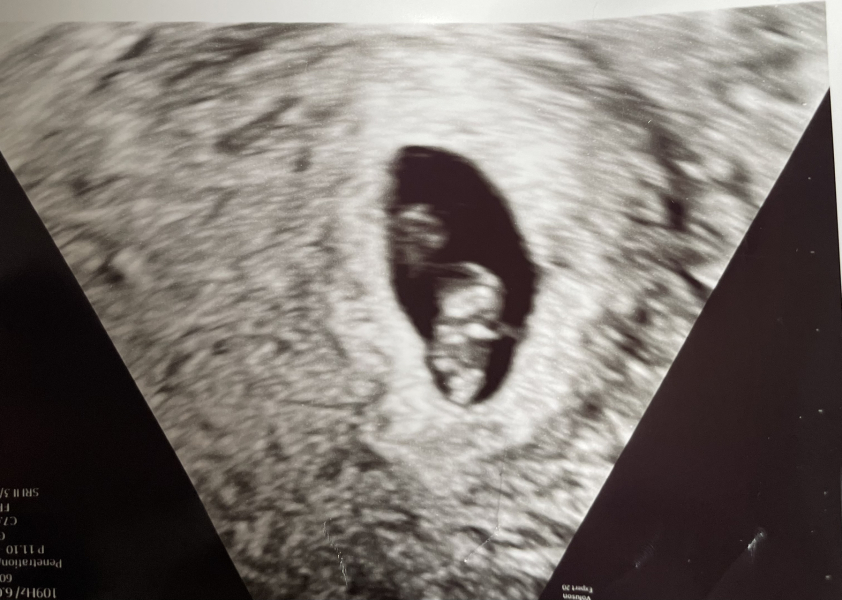 TTC February 2024 ✨