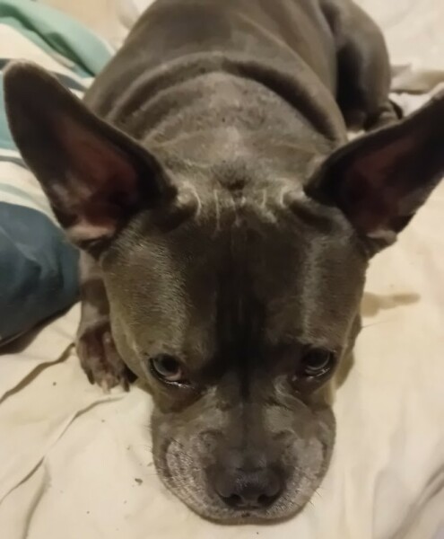 The Continuing Support Thread for Anyone Trying to Lead an Alcohol-Free Life Spring 2025