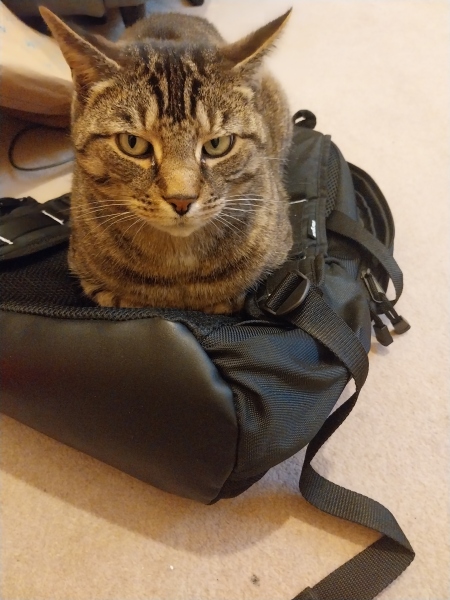 Thread 18 Starmer: All sides of the House agree apart from the Trump bootlickers