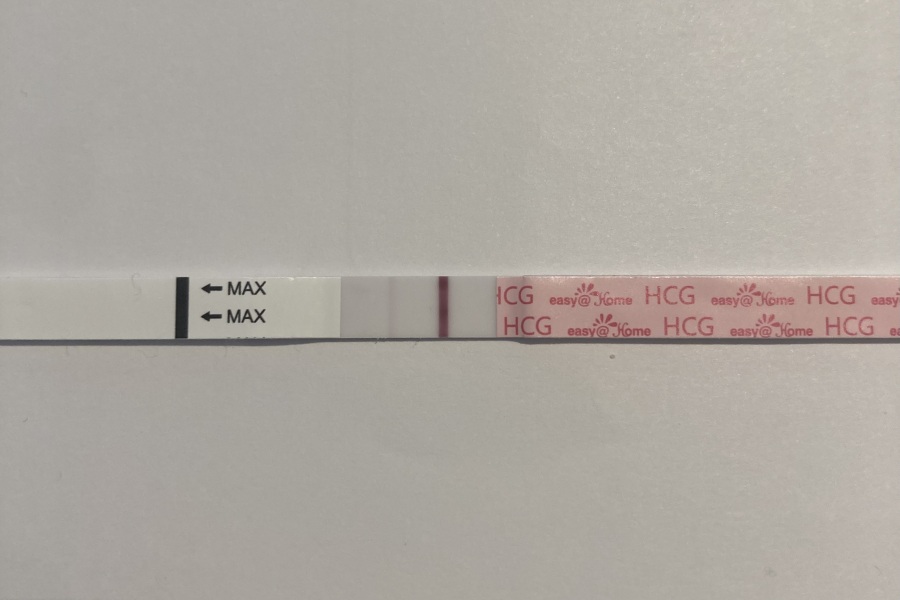 February 2025 TTC Support Group Part 2!